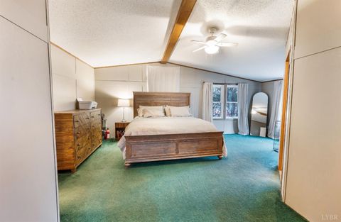 Tiny photo for 339 Plain Ridge Drive, Evington, VA 24550 (MLS # 364867)