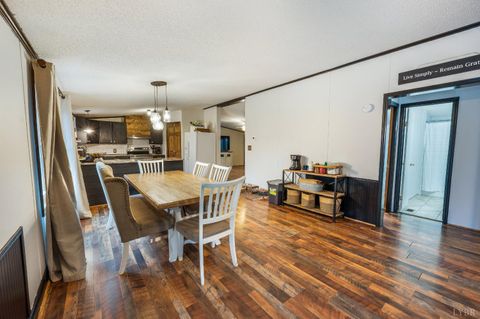 Tiny photo for 339 Plain Ridge Drive, Evington, VA 24550 (MLS # 364867)