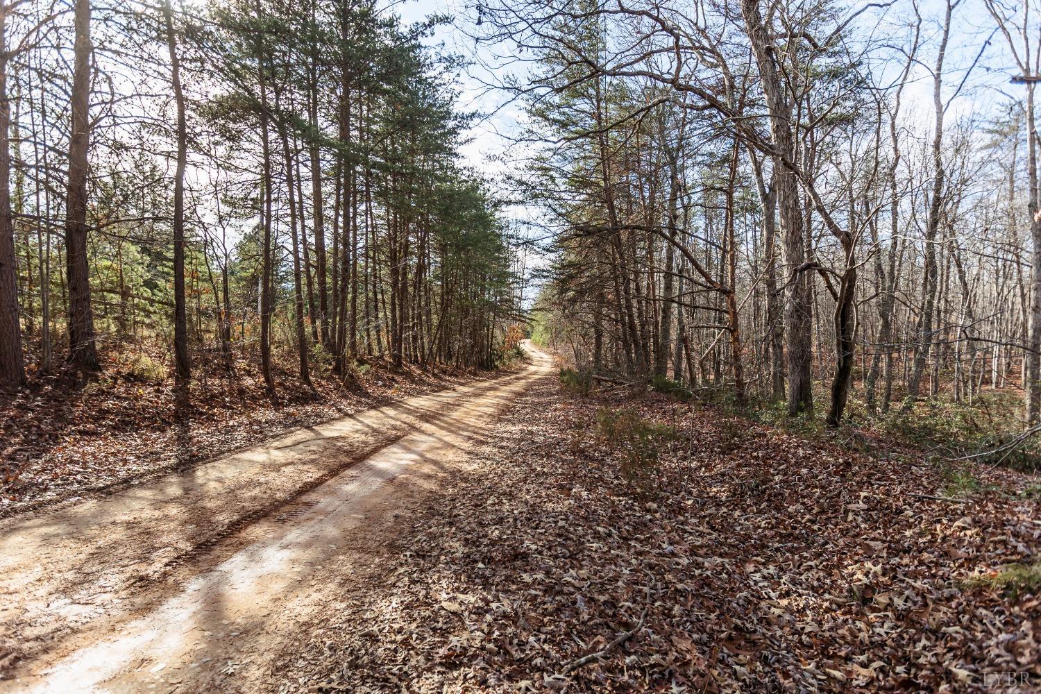 1607 Blackberry Lane, Appomattox, Virginia image 15