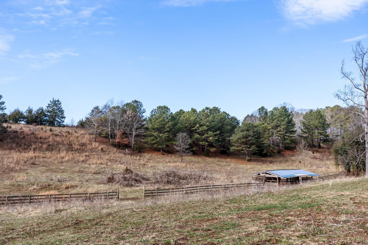 1607 Blackberry Lane, Appomattox, Virginia image 4