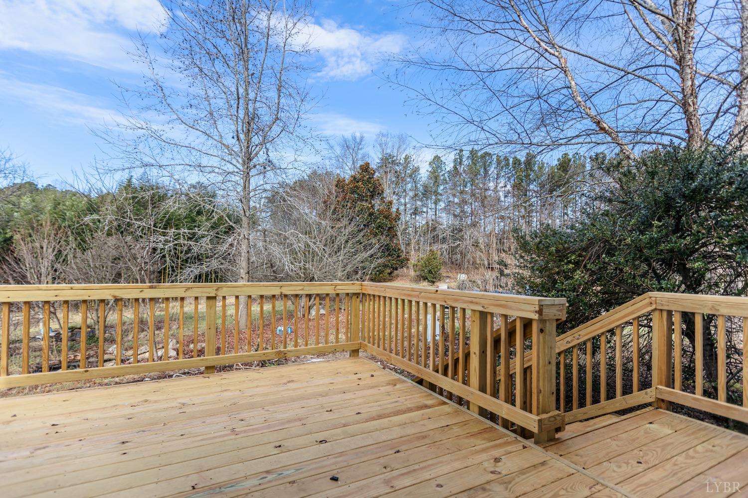 1607 Blackberry Lane, Appomattox, Virginia image 32
