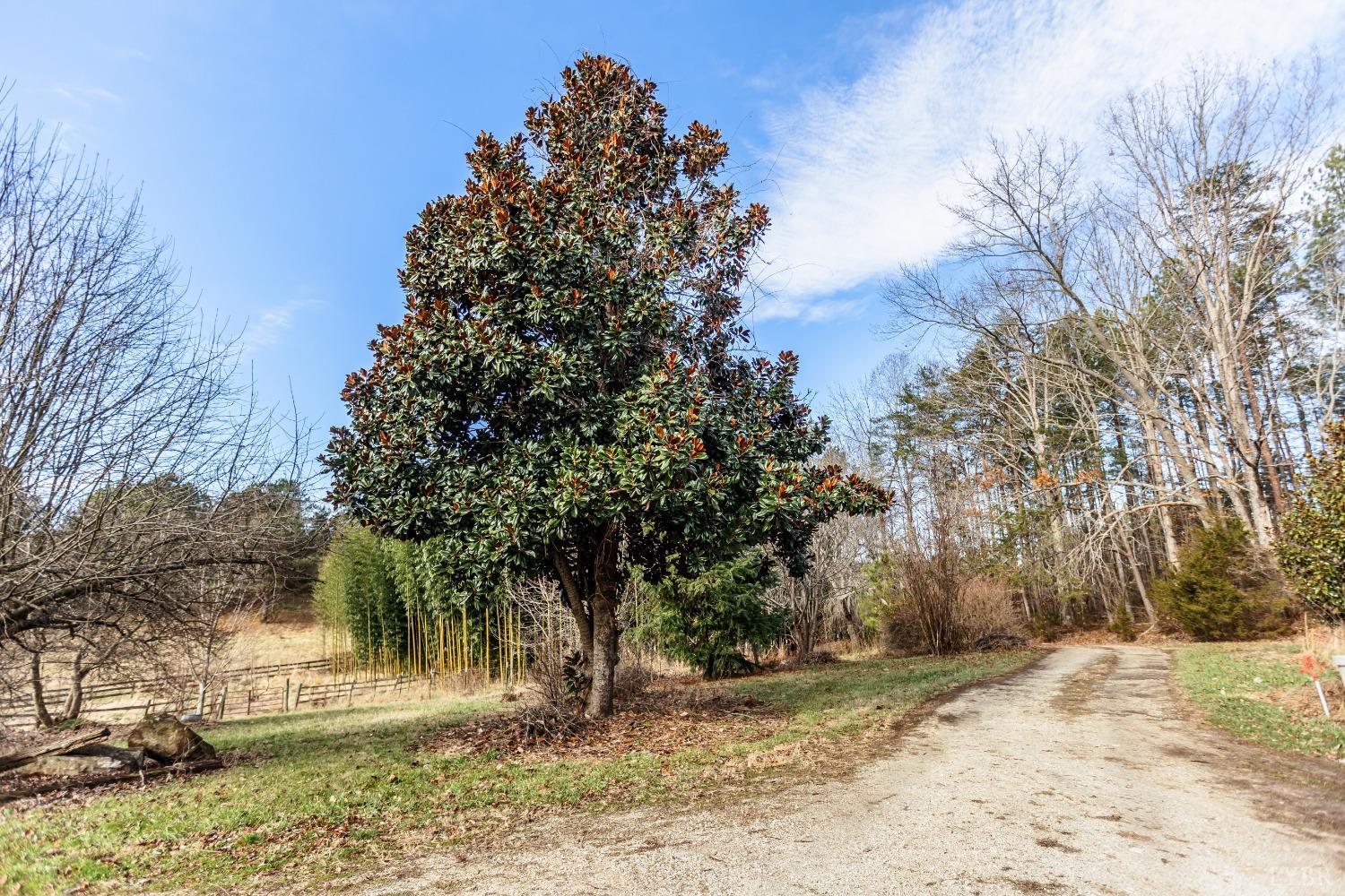 1607 Blackberry Lane, Appomattox, Virginia image 13