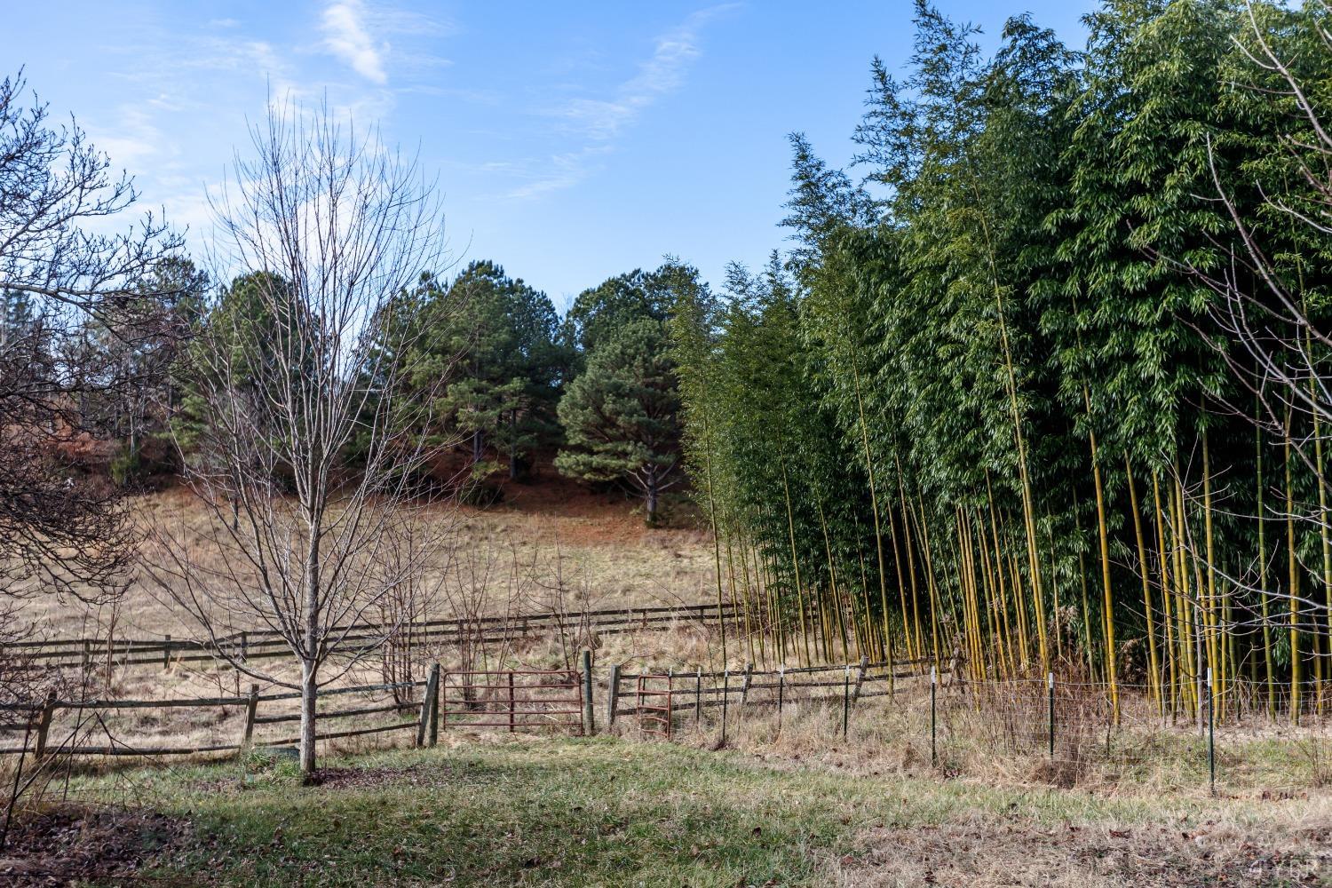 1607 Blackberry Lane, Appomattox, Virginia image 12