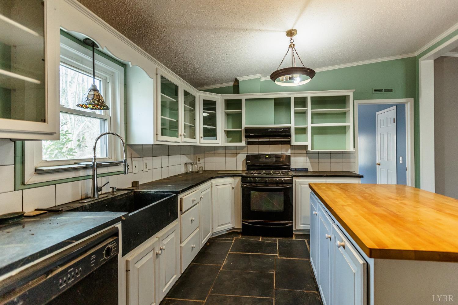 1607 Blackberry Lane, Appomattox, Virginia image 20