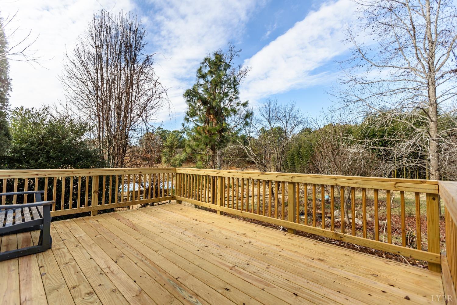 1607 Blackberry Lane, Appomattox, Virginia image 34