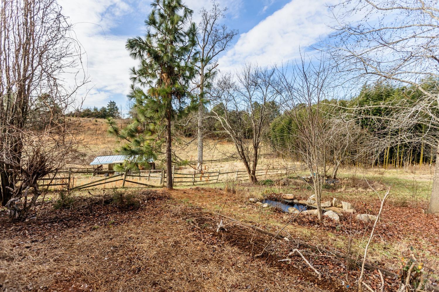 1607 Blackberry Lane, Appomattox, Virginia image 33