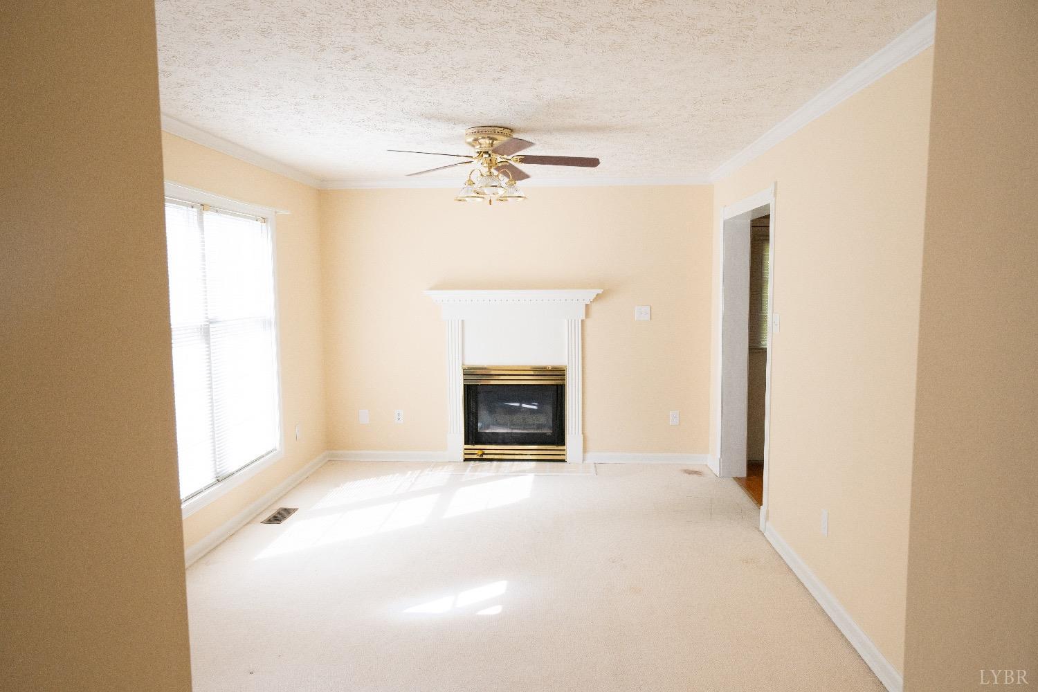 309 Jefferson Woods Drive, Forest, Virginia image 9