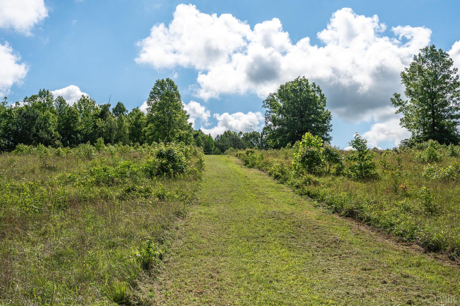 3144 Ball Park Loop Loop, Halifax, Virginia image 45