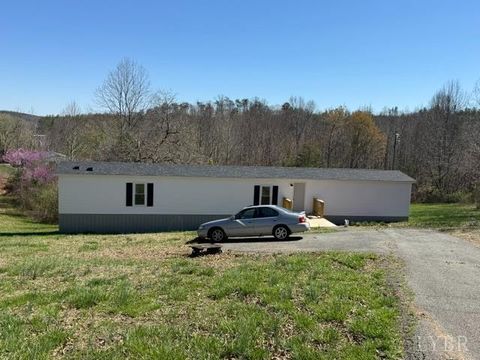 Photo of 5334 Smith Mountain Lake Parkway, Huddleston, VA 24104 (MLS # 365434)