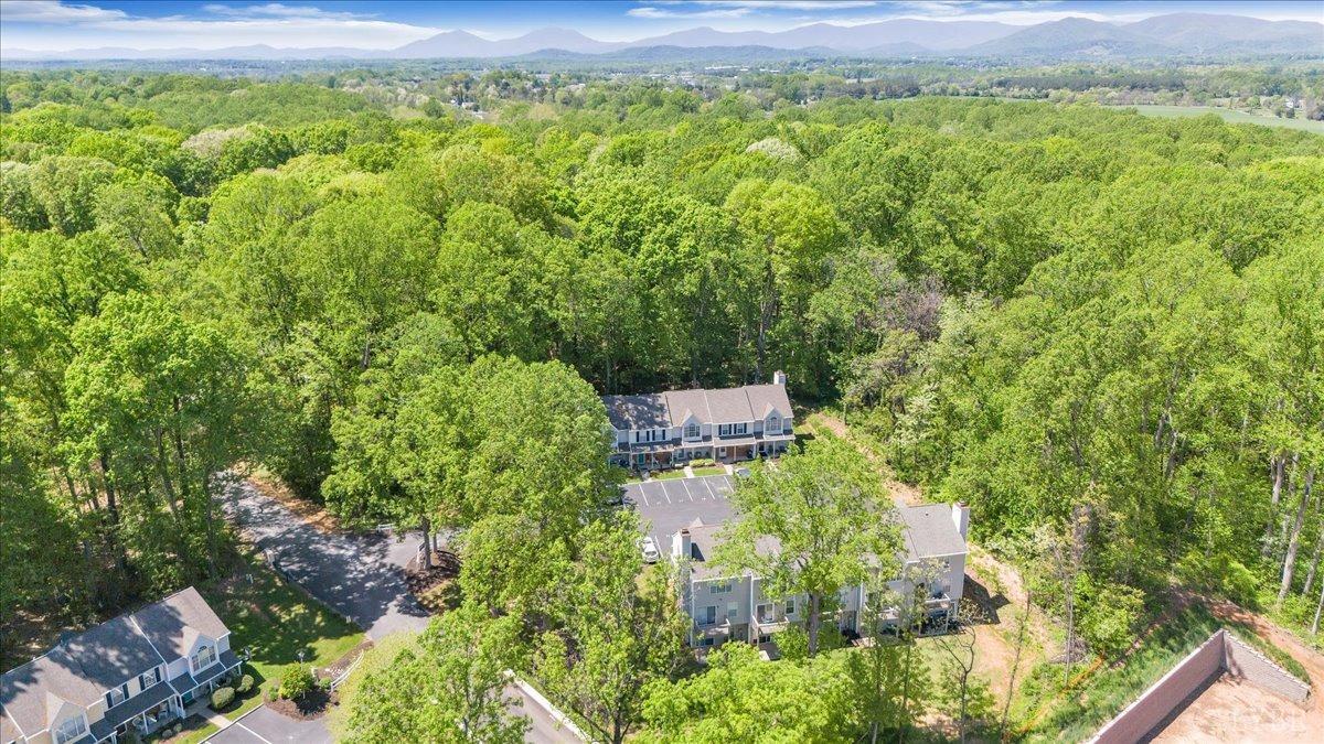 18 Jefferson Village Drive, Forest, Virginia image 46