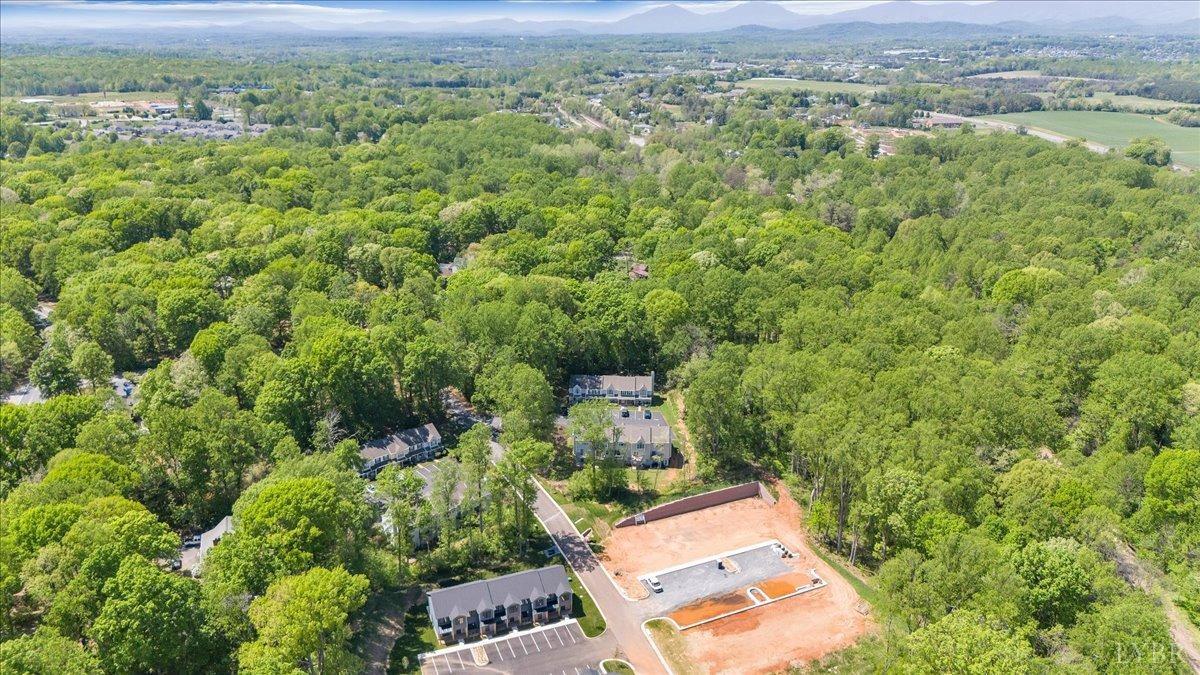 18 Jefferson Village Drive, Forest, Virginia image 50