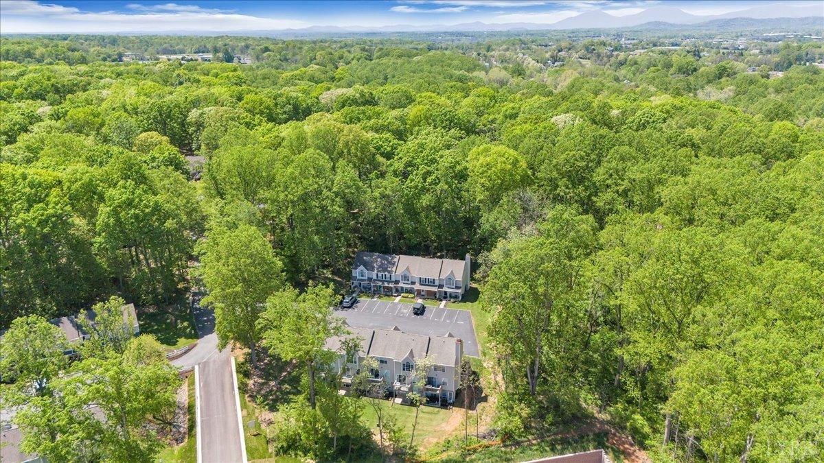 18 Jefferson Village Drive, Forest, Virginia image 48