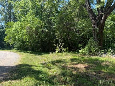 Tiny photo for 2878 Kentucky Ave, Phenix, VA 23959 (MLS # 366712)