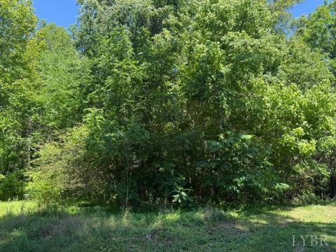 Tiny photo for 2878 Kentucky Ave, Phenix, VA 23959 (MLS # 366712)