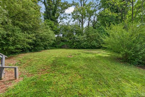 Tiny photo for 818 Pierce St. St, Lynchburg, VA 24504 (MLS # 366197)