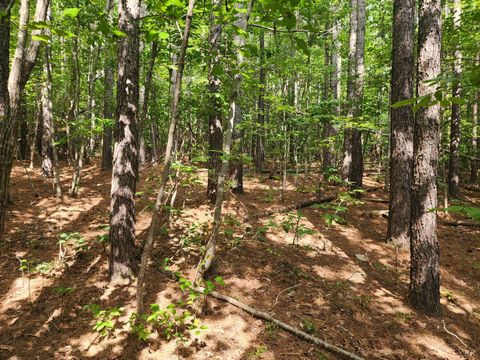Tiny photo for 0 Red House Road, Appomattox, VA 24522 (MLS # 361460)
