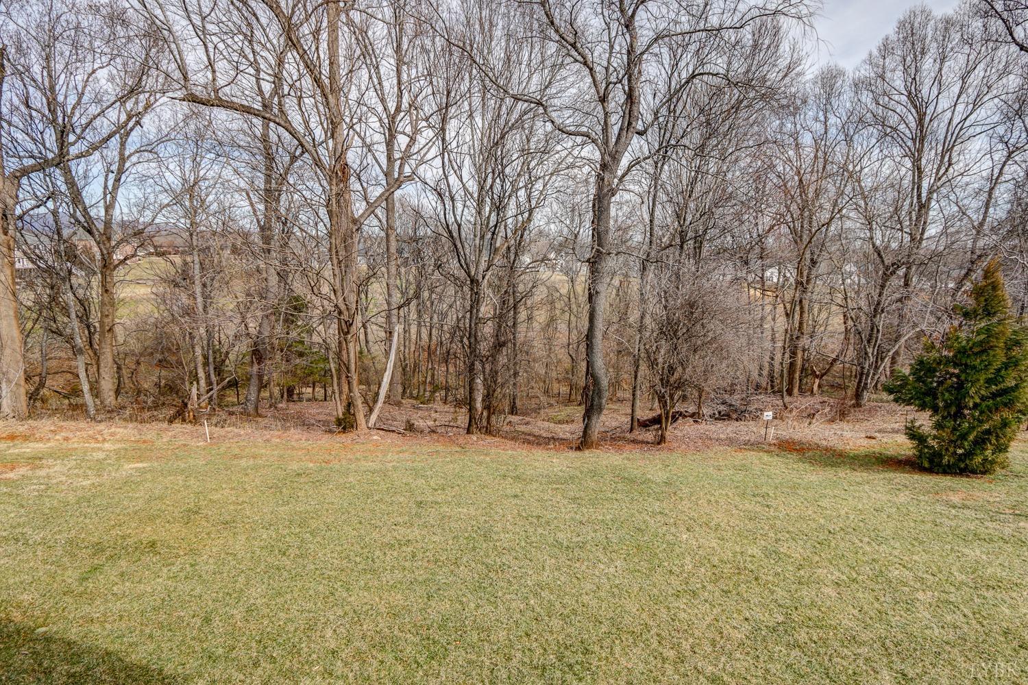 1100 Lindenshire Drive, Forest, Virginia image 37
