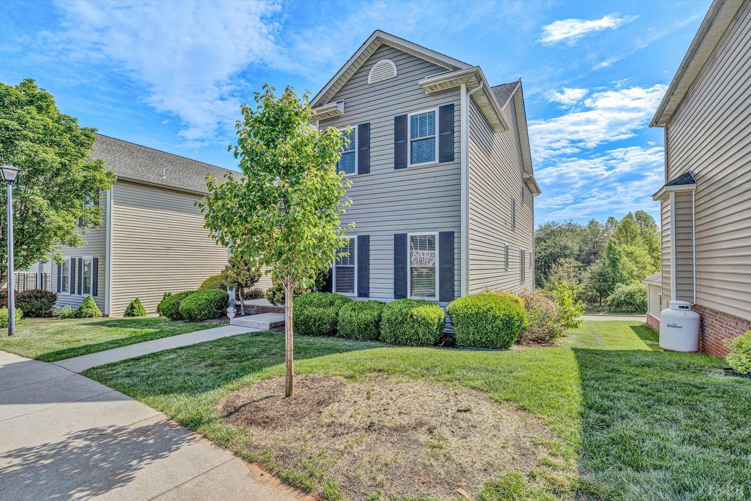 1145 Cranberry Court, Moneta, Virginia image 3