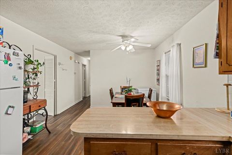 Tiny photo for 134 Hunt Club Dr Dr, Madison Heights, VA 24572 (MLS # 365310)