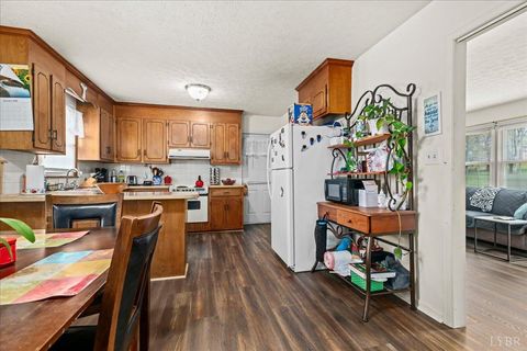 Tiny photo for 134 Hunt Club Dr Dr, Madison Heights, VA 24572 (MLS # 365310)