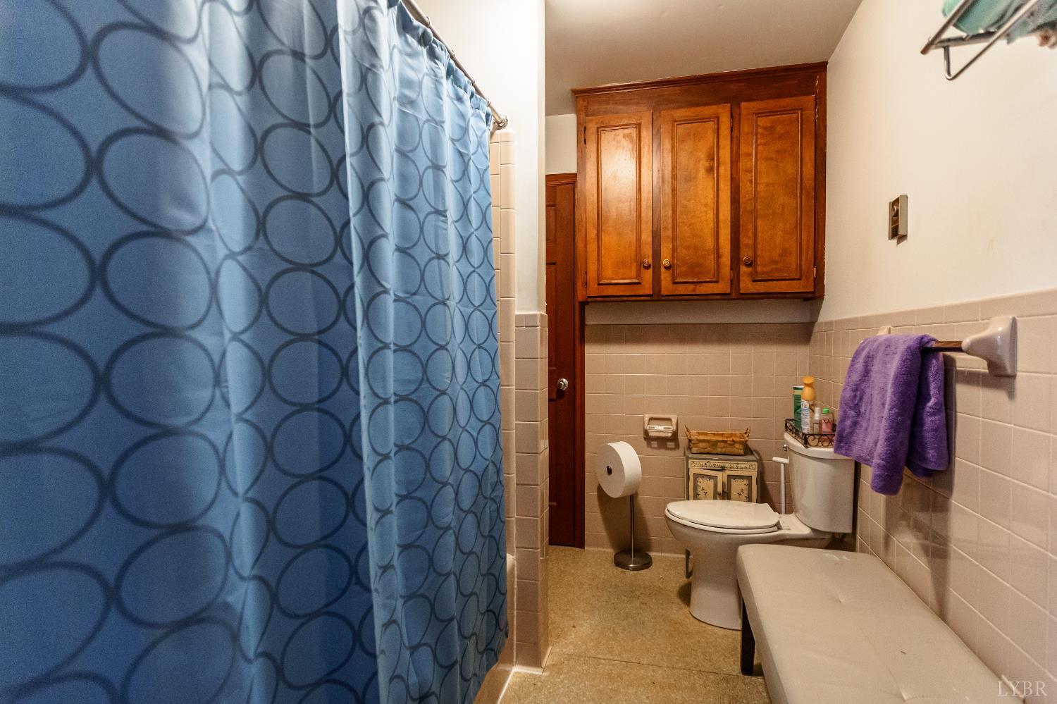 218 Walton Drive, Appomattox, Virginia image 25