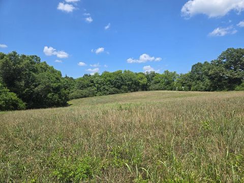 Photo of 0 Mulberry Hill Road, Randolph, VA 23962 (MLS # 367749)