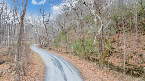 Tiny photo for 1138 Recess Circle, Big Island, VA 24526 (MLS # 363698)