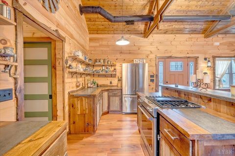 Tiny photo for 1138 Recess Circle, Big Island, VA 24526 (MLS # 363698)