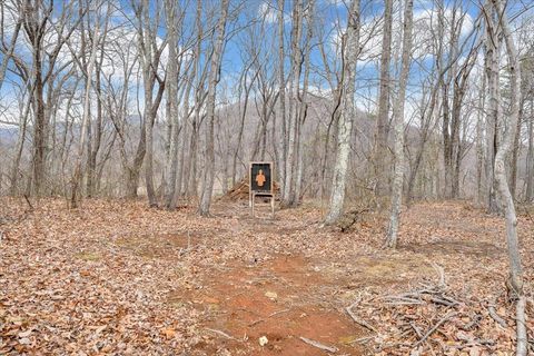 Tiny photo for 1138 Recess Circle, Big Island, VA 24526 (MLS # 363698)