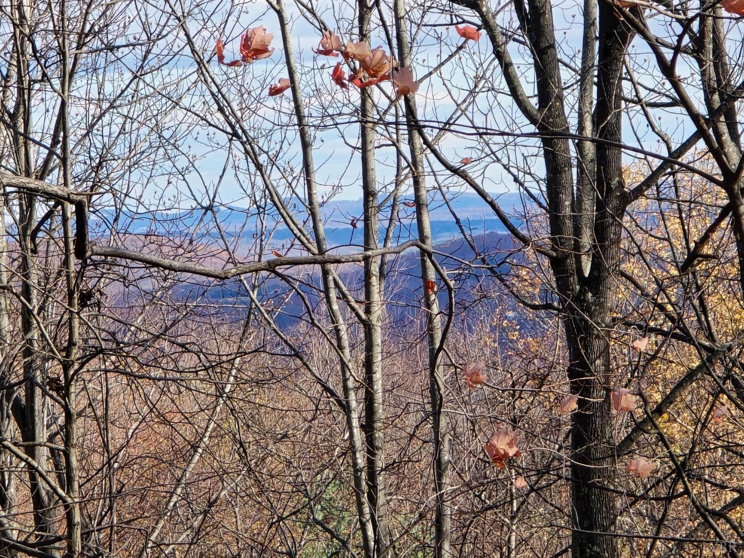 Taylor Mountain Road, Thaxton, Virginia image 1