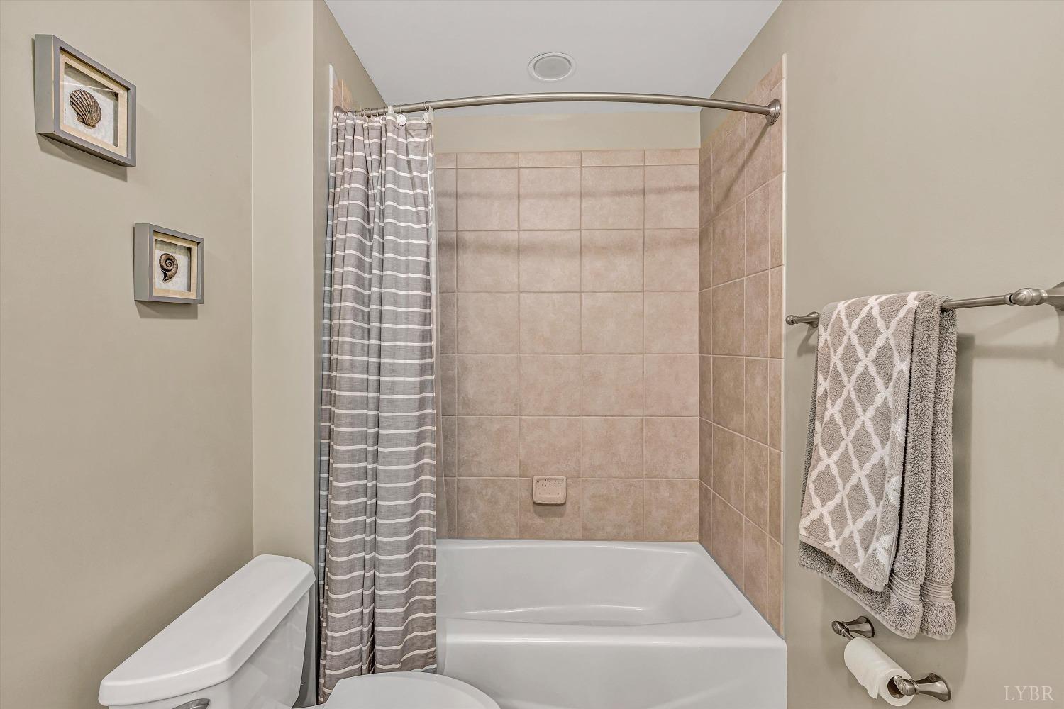 100 Bridgewater Pointe Place #201, Moneta, Virginia image 22