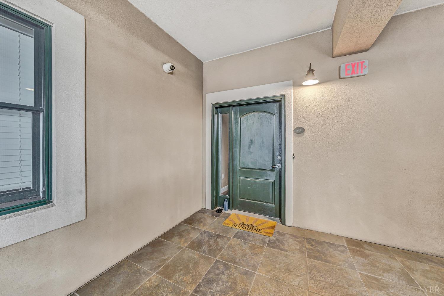 100 Bridgewater Pointe Place #201, Moneta, Virginia image 27