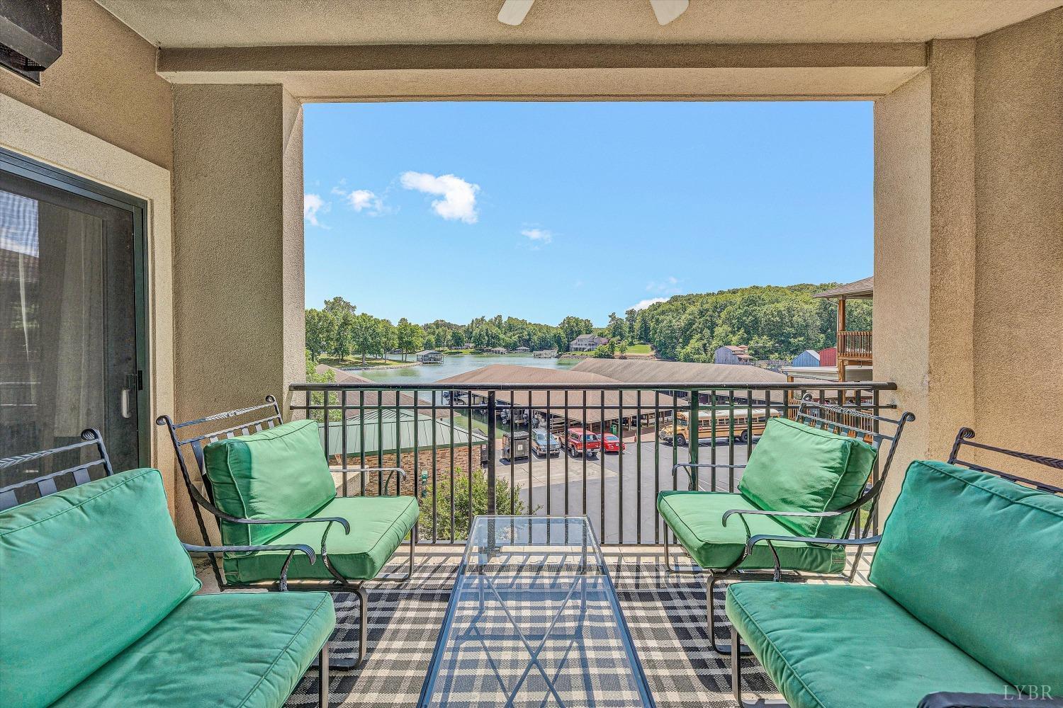 100 Bridgewater Pointe Place #201, Moneta, Virginia image 14