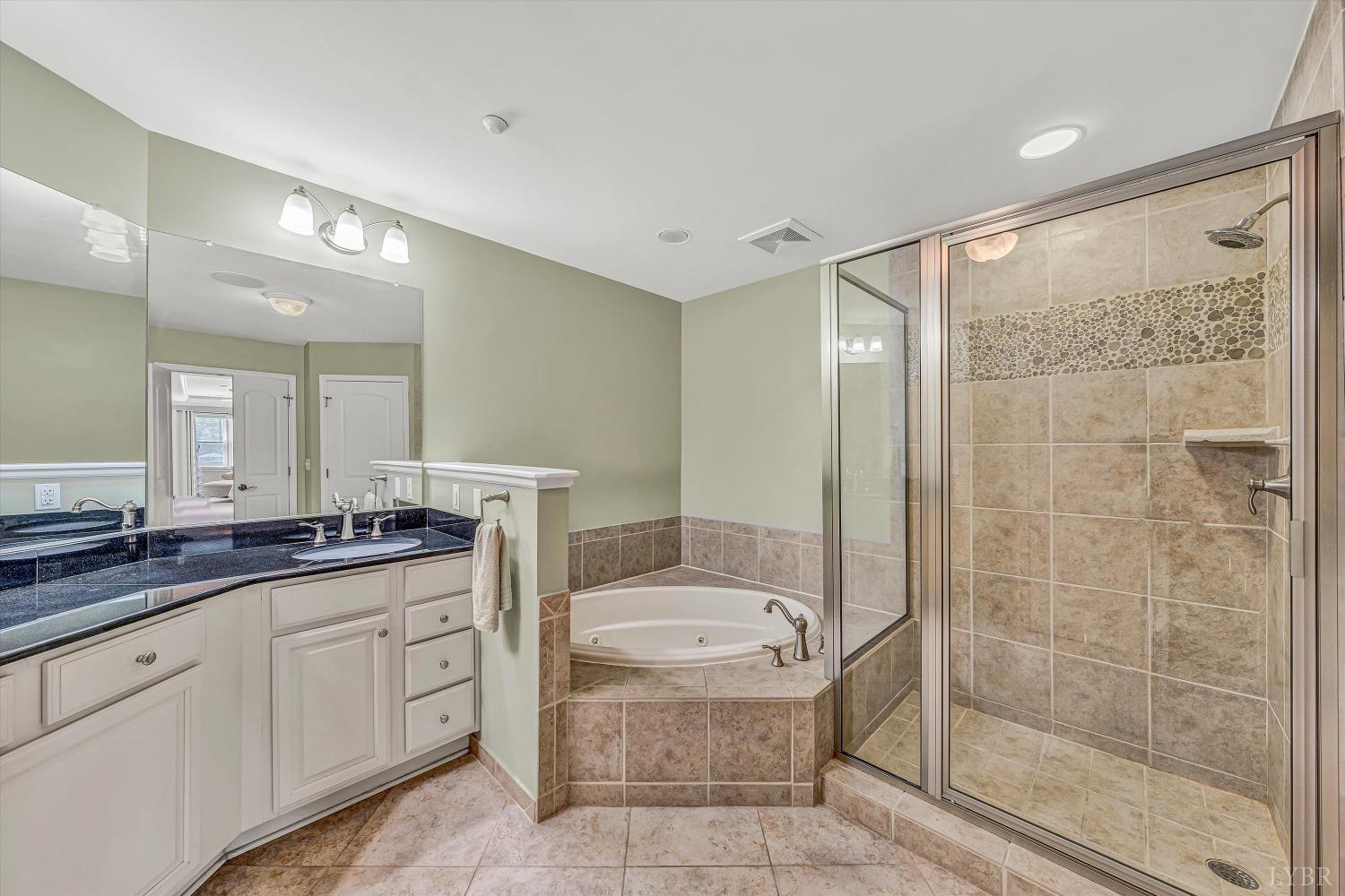 100 Bridgewater Pointe Place #201, Moneta, Virginia image 19