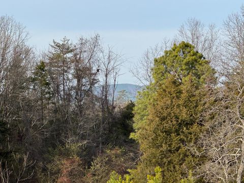 Photo of 0 Watt Abbitt Road, Appomattox, VA 24522 (MLS # 363840)