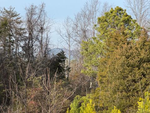 Tiny photo for 0 Watt Abbitt Road, Appomattox, VA 24522 (MLS # 363840)