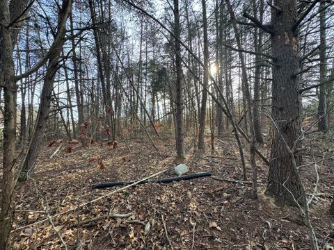 Tiny photo for 0 Watt Abbitt Road, Appomattox, VA 24522 (MLS # 363840)