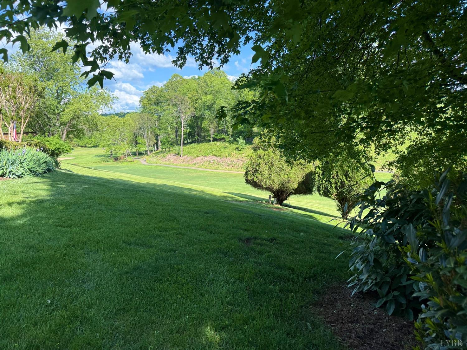 306 Quail Meadows Drive, Forest, Virginia image 3