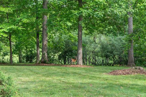 Tiny photo for 29 Deer Haven Drive, Buena Vista, VA 24416 (MLS # 366647)