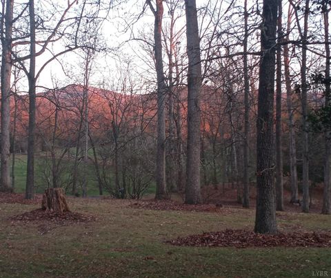 Tiny photo for 29 Deer Haven Drive, Buena Vista, VA 24416 (MLS # 366647)