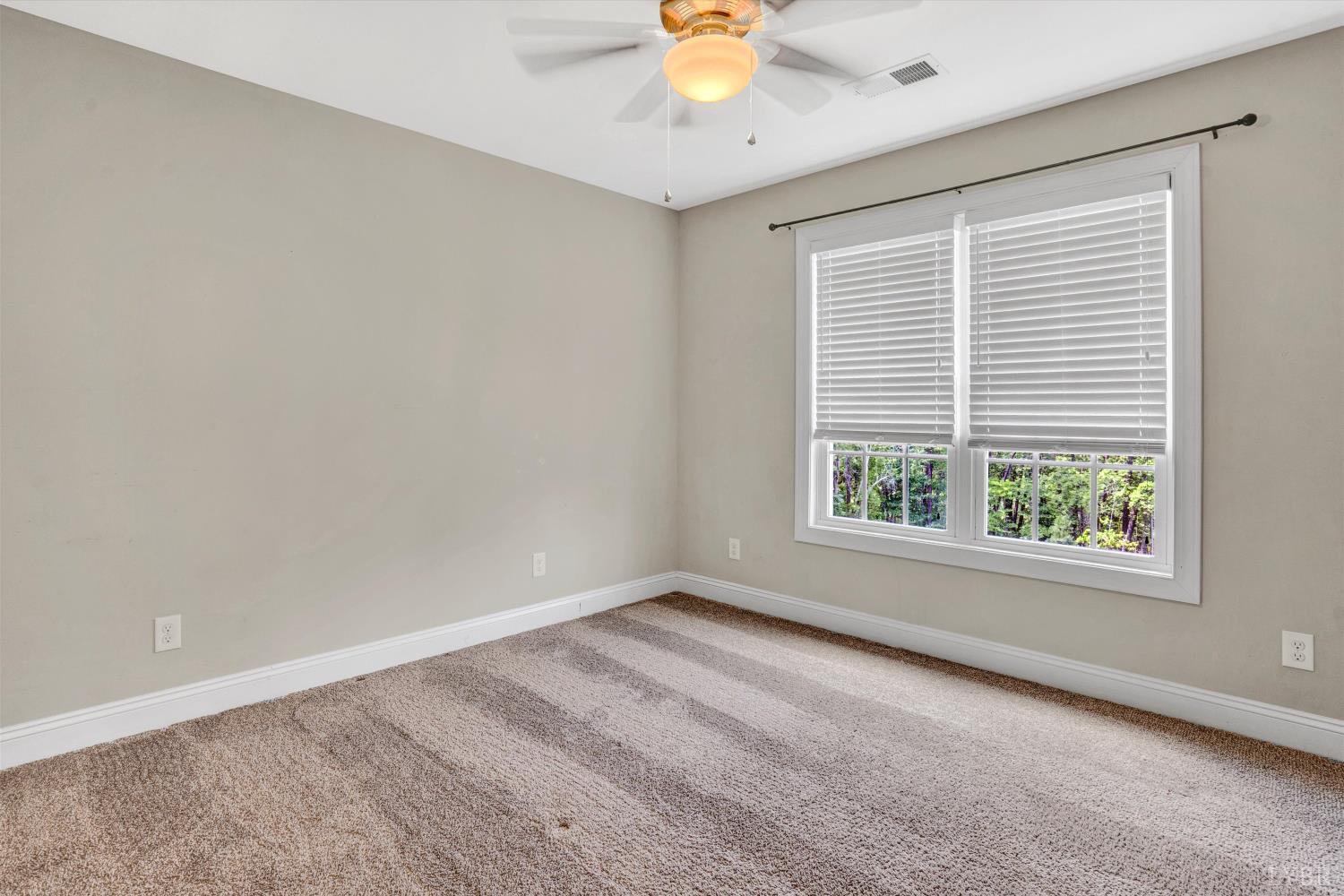 238 Ridgeline Drive, Concord, Virginia image 30