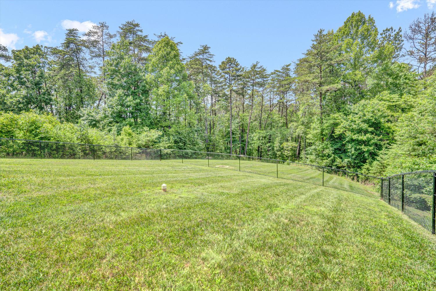 238 Ridgeline Drive, Concord, Virginia image 35