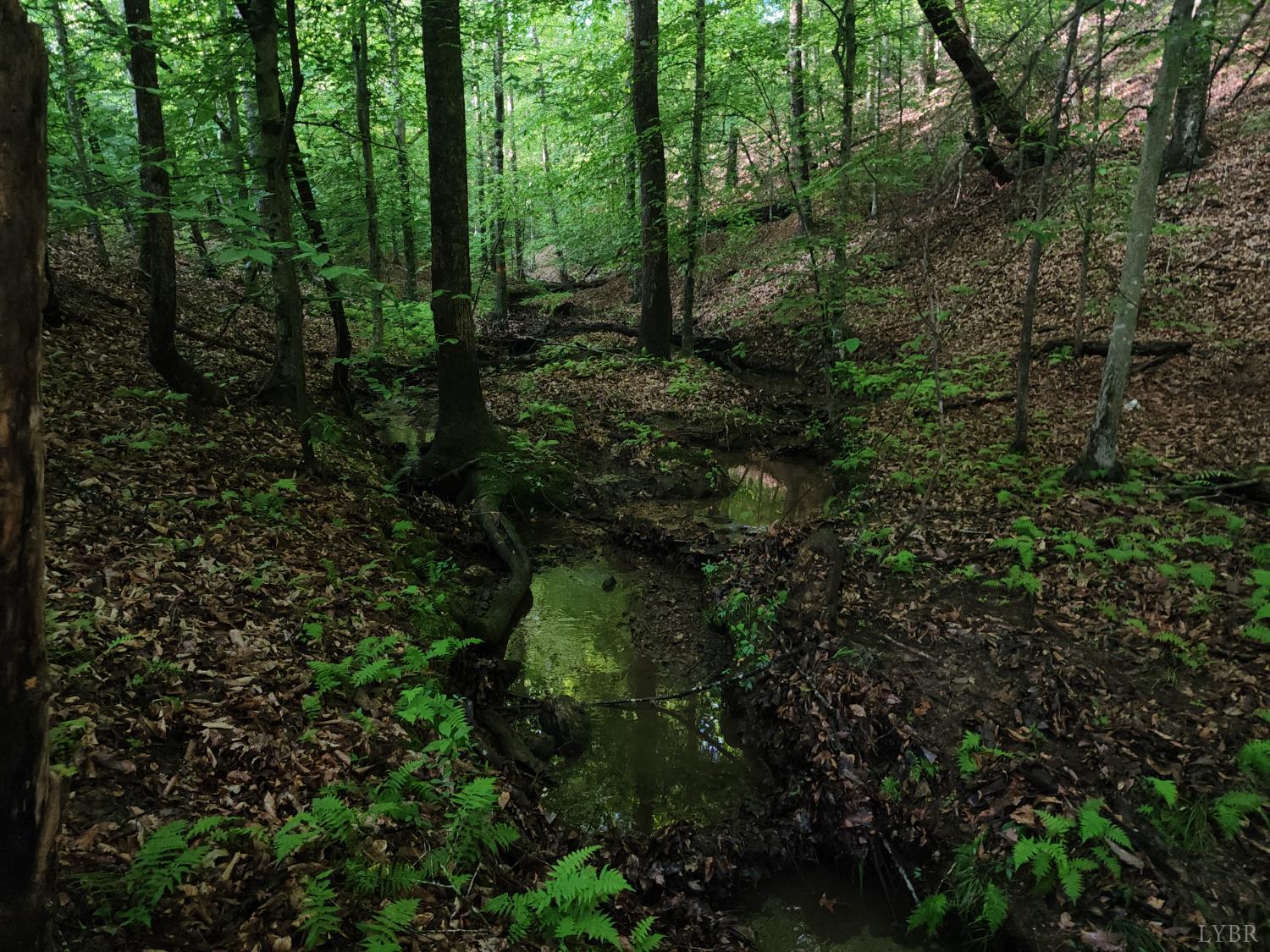 Ridge Road, Evington, Virginia image 3