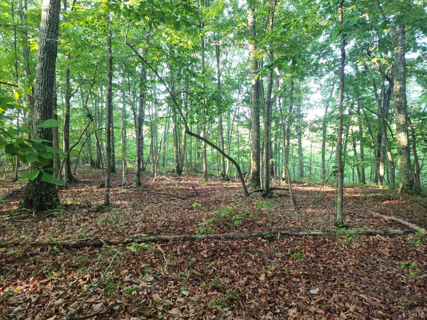 Ridge Road, Evington, Virginia image 1