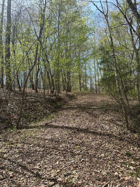 Tiny photo for 0 Gladys Road, Altavista, VA 24517 (MLS # 365697)