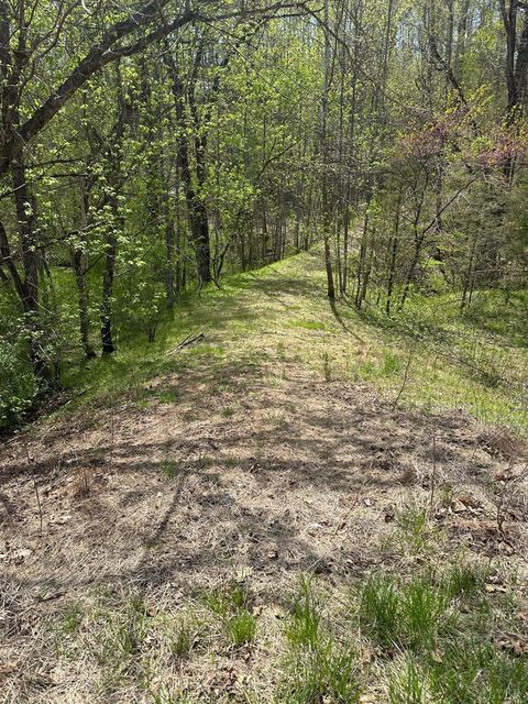 Photo of 0 Gladys Road, Altavista, VA 24517 (MLS # 365697)