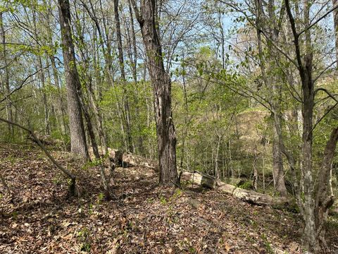 Tiny photo for 0 Gladys Road, Altavista, VA 24517 (MLS # 365697)