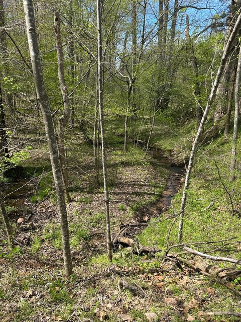 Tiny photo for 0 Gladys Road, Altavista, VA 24517 (MLS # 365697)