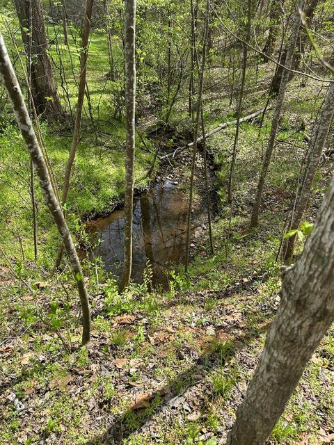 Tiny photo for 0 Gladys Road, Altavista, VA 24517 (MLS # 365697)