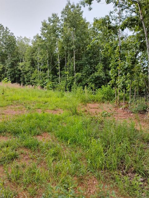 Tiny photo for 0 EASOME Road, Hurt, VA 24521 (MLS # 364616)